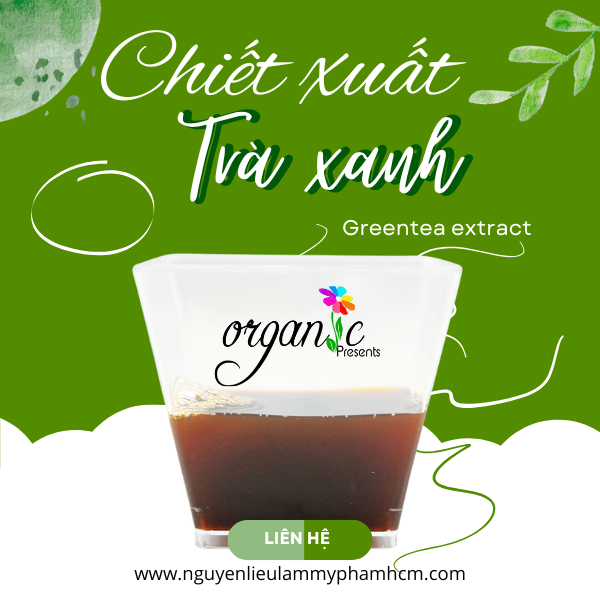 CHIẾT XUẤT TRÀ XANH (GREENTEA EXTRACT - ITALIA)
