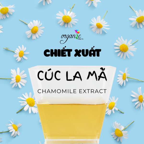 CHIẾT XUẤT CÚC LA MÃ (CHAMOMILE EXTRACT - ITALIA)