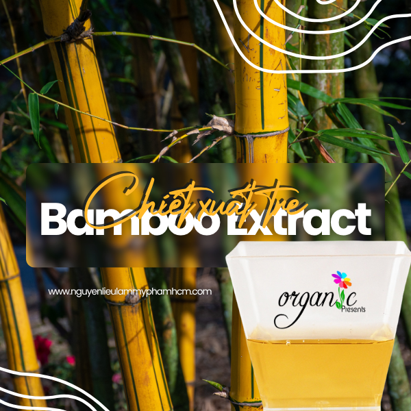 CHIẾT XUẤT TRE (BAMBOO EXTRACT - ITALIA)