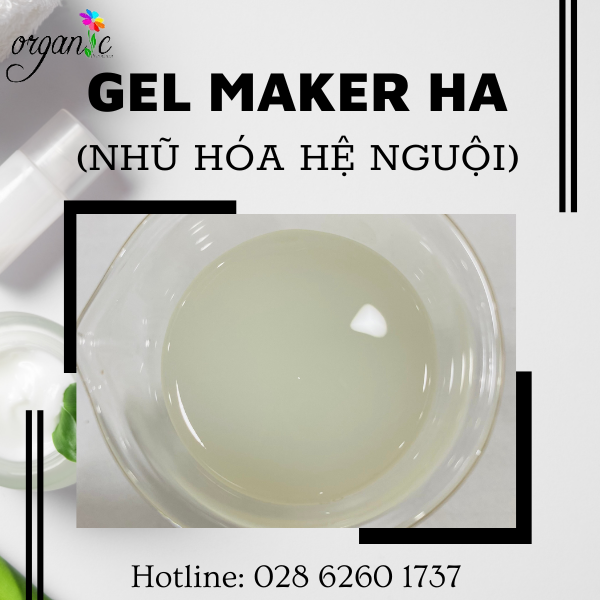 GEL MAKER HA - GEL NHŨ HOÁ HỆ NGUỘI