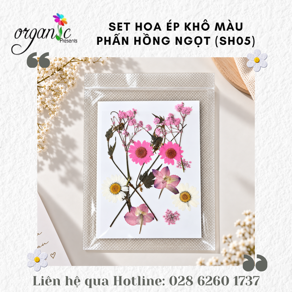 SET HOA ÉP KHÔ TRANG TRÍ ĐỒ HANDMADE (SH)