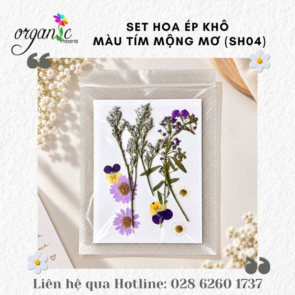 SET HOA ÉP KHÔ TRANG TRÍ ĐỒ HANDMADE (SH)