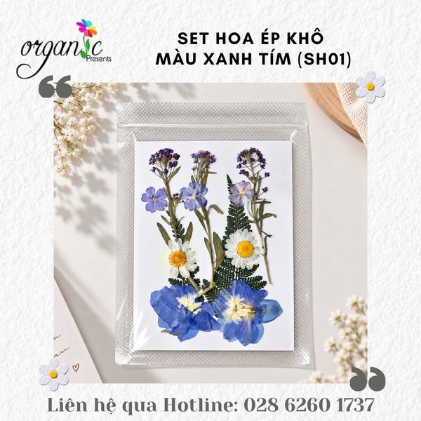 SET HOA ÉP KHÔ TRANG TRÍ ĐỒ HANDMADE (SH)