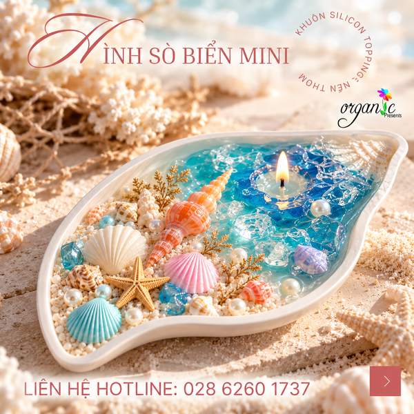 KHUÔN SILICON TOPPING HÌNH SÒ BIỂN MINI (TP15)