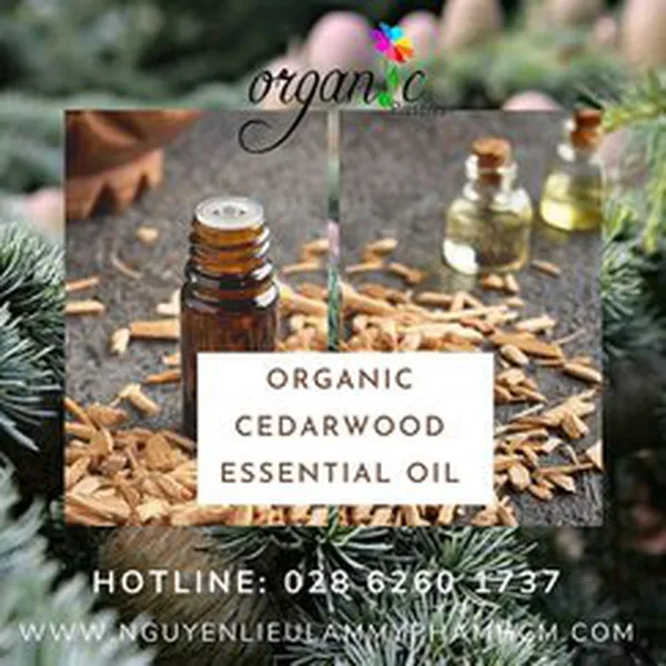 TINH DẦU HOÀNG ĐÀN / TUYẾT TÙNG HỮU CƠ (ORGANIC CEDARWOODESSENTIAL OIL)
