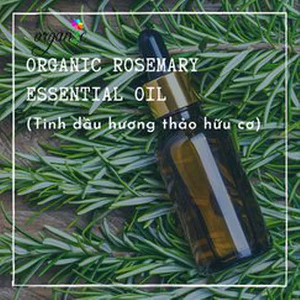 TINH DẦU HƯƠNG THẢO HỮU CƠ (ORGANIC ROSEMARY ESSENTIAL OIL)