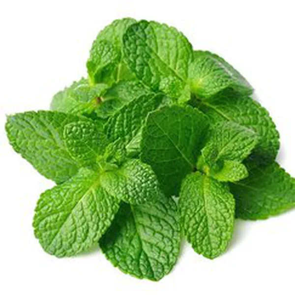 BẠC HÀ (MINT FR)