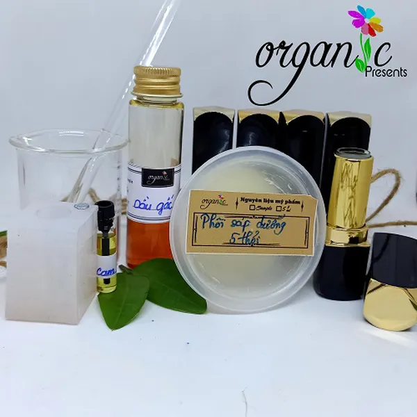 BỘ KIT LÀM SON DƯỠNG MÔI HANDMADE TỪ DẦU GẤC (DÙNG KHUÔN)