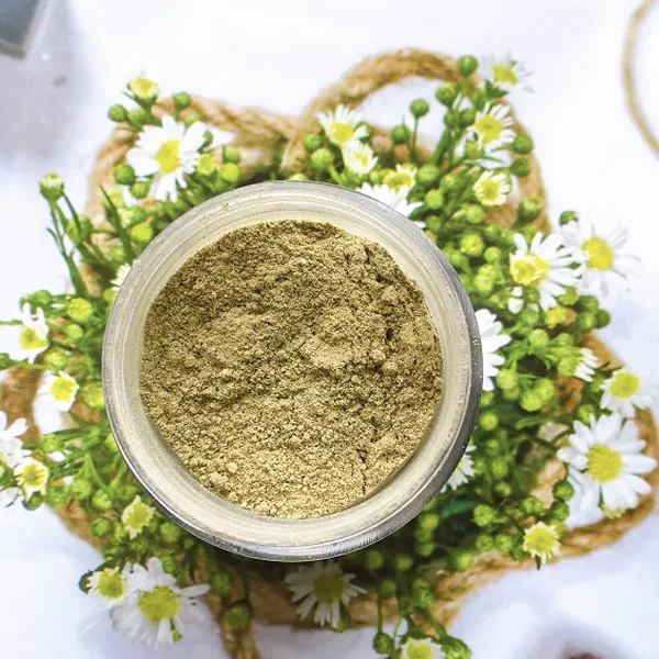 BỘT MẶT NẠ THUỐC BẮC (TRỊ MỤN)