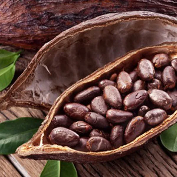 CACAO (NATURAL)