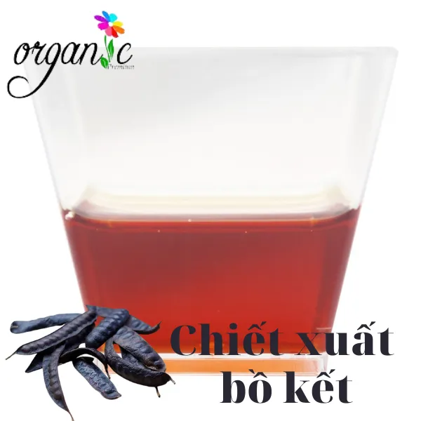 CHIẾT XUẤT BỒ KẾT (VIỆT NAM)