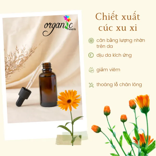 CALENDULA EXTRACT (CHIẾT XUẤT HOA CÚC XU XI - PHÁP)