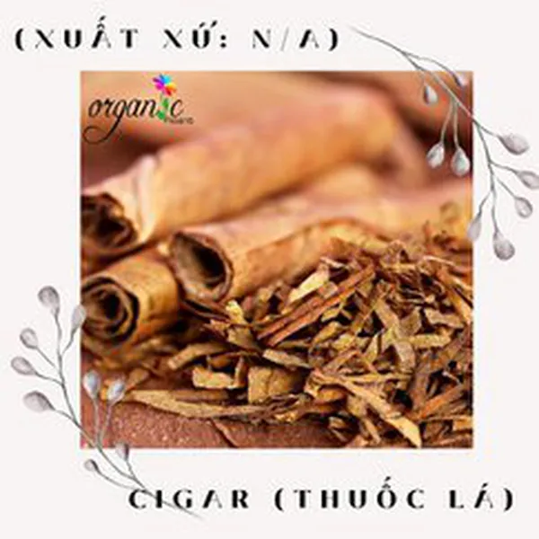 CIGAR (HƯƠNG THUỐC LÁ - N/A)