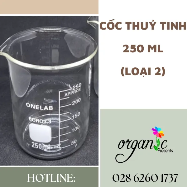 CỐC THỦY TINH 250 ML (LOẠI 2)
