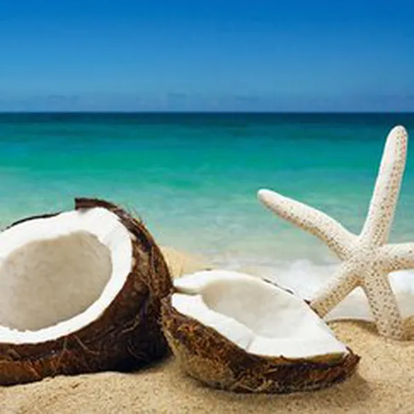 COCONUT PARADISE (HƯƠNG DỪA NHIỆT ĐỚI)
