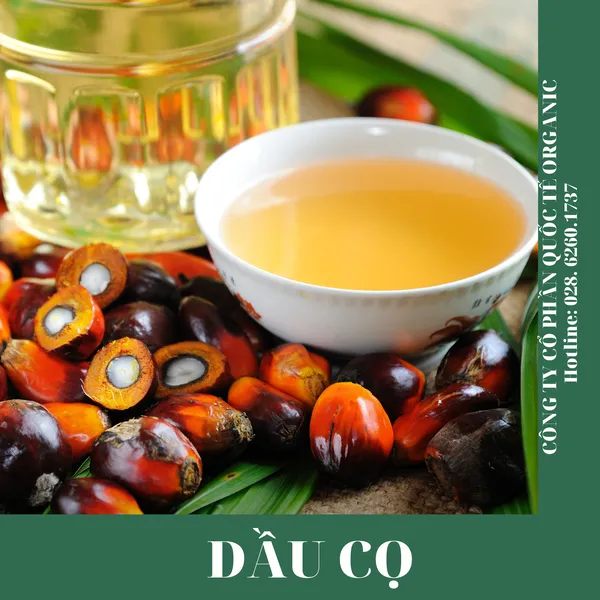 DẦU CỌ (MALAYSIA)