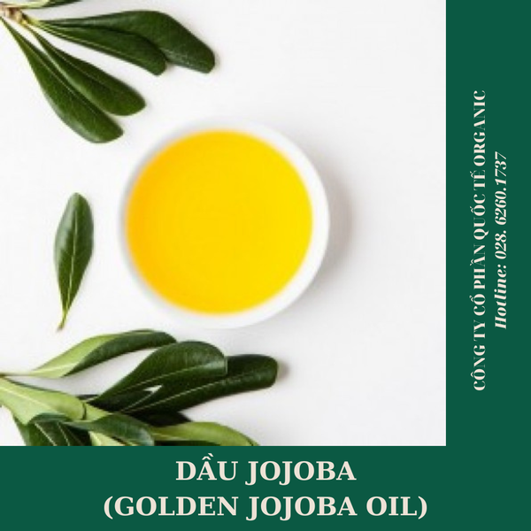 DẦU JOJOBA (GOLDEN JOJOBA OIL - ẤN)