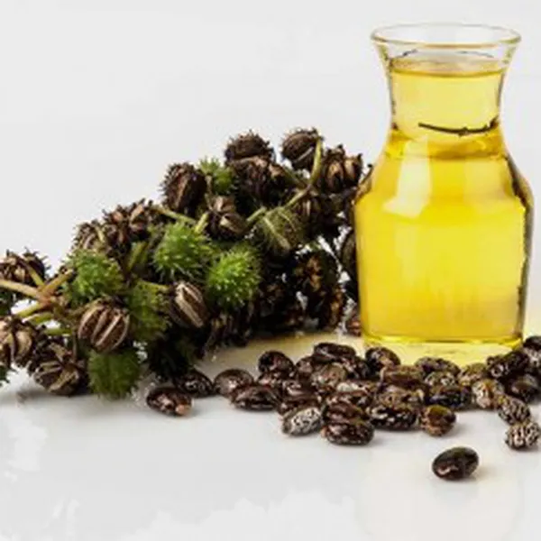 DẦU THẦU DẦU (PHÁP)