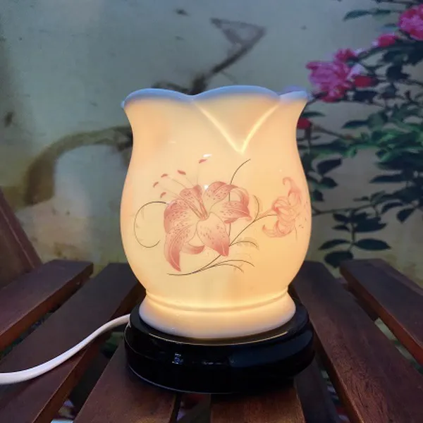 ĐÈN SỨ THẤU QUANG 11