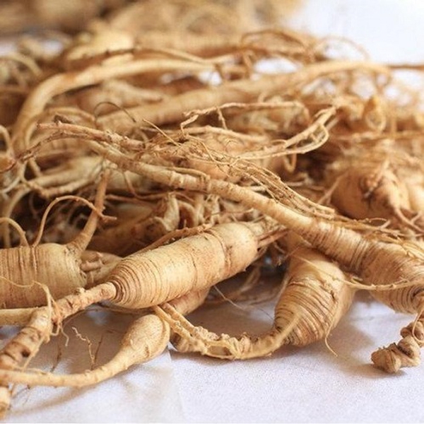 GINSENG EXTRACT (CHIẾT XUẤT NHÂN SÂM)