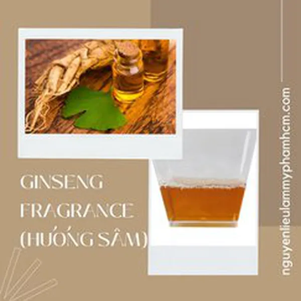 GINSENG FR (HƯƠNG NHÂN SÂM)