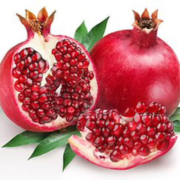 HẠT LỰU (POMEGRANATE FR)
