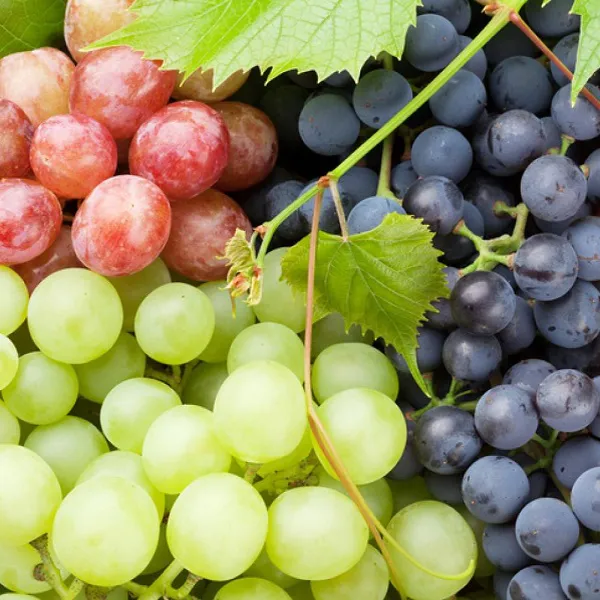 HƯƠNG NHO (GRAPE FR)