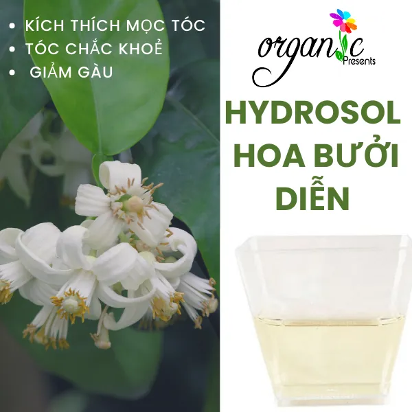 NƯỚC HOA BƯỞI (GRAPEFRUIT BLOSSOM HYDROSOL - VN)
