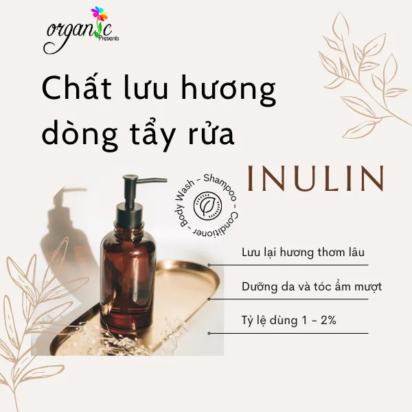 INULIN - CHẤT LƯU HƯƠNG CHO DÒNG TẦY RỬA