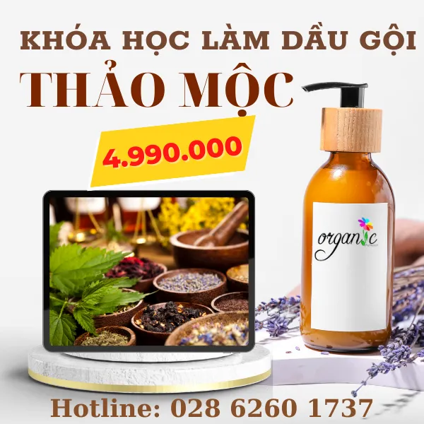 KHÓA HỌC DẦU GỘI THẢO MỘC