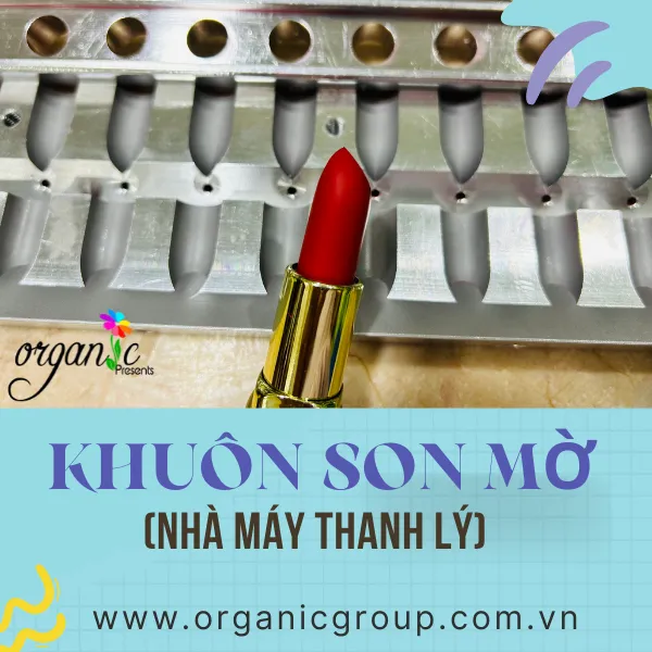 KHUÔN SON INOX 12 LỖ - THÂN SON MỜ (HÀNG THANH LÝ)