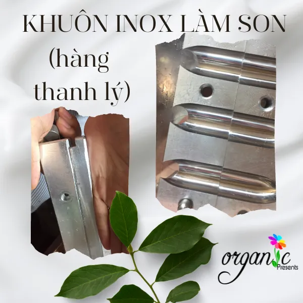 KHUÔN SON INOX 12 LỖ (HÀNG THANH LÝ)