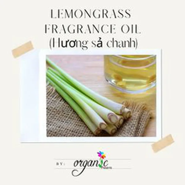 LEMONGRASS (HƯƠNG SẢ CHANH)