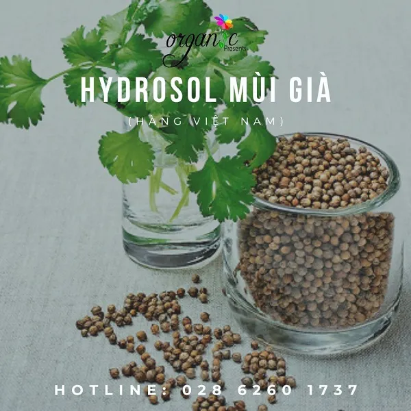 NƯỚC MÙI GIÀ (VN)