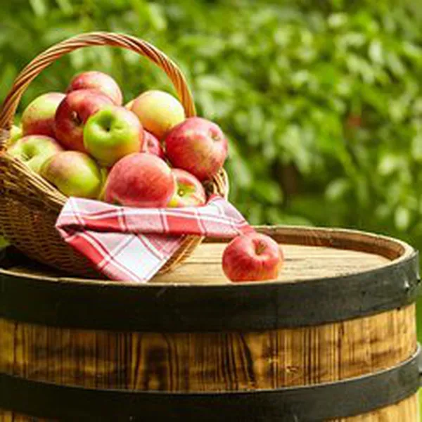 OAK BARREL CIDER (HƯƠNG RƯỢU TRÁI CÂY)