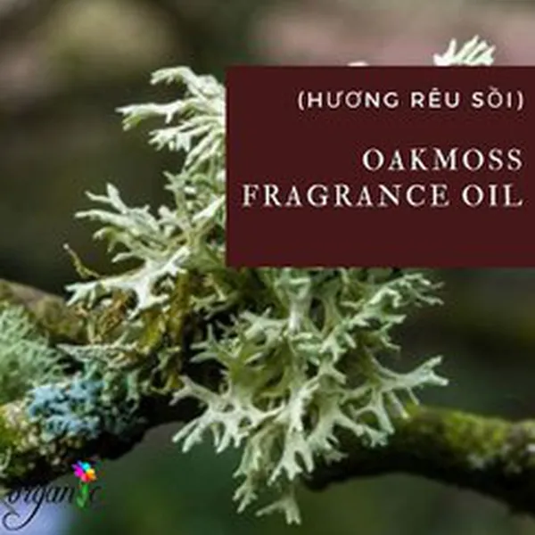 OAKMOSS (HƯƠNG RÊU SỒI - N/A)