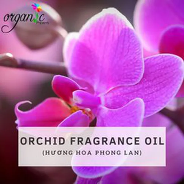 ORCHID (HƯƠNG PHONG LAN - N/A)