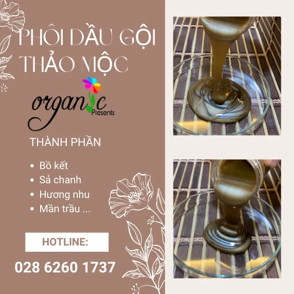 PHÔI DẦU GỘI THẢO MỘC (THỂ ĐỤC ÁNH NHŨ)