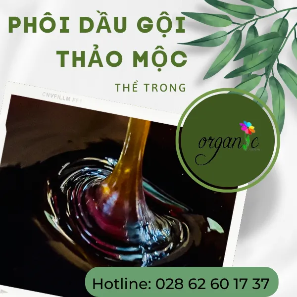 PHÔI DẦU GỘI THẢO MỘC (THỂ TRONG)
