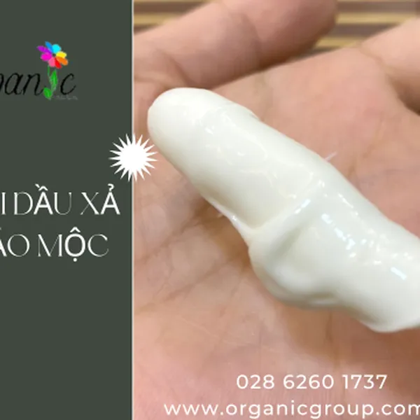 PHÔI DẦU XẢ THẢO MỘC
