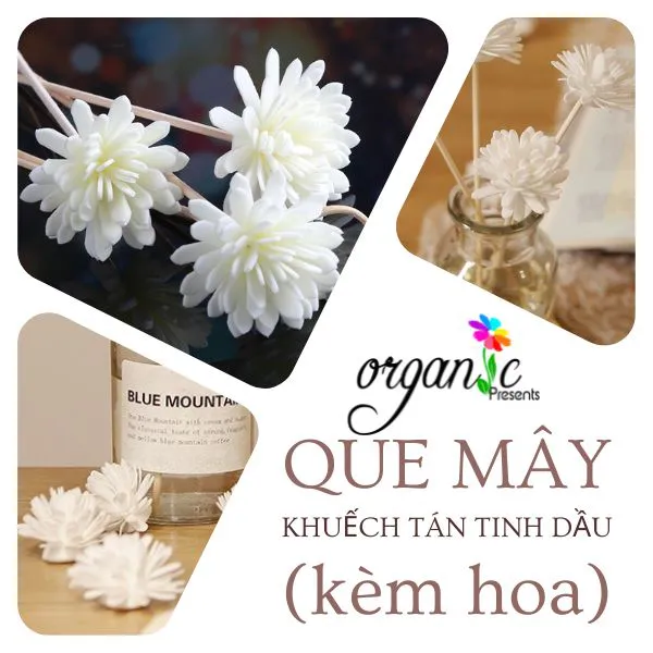 QUE MÂY KHUẾCH TÁN TINH DẦU (KÈM HOA)