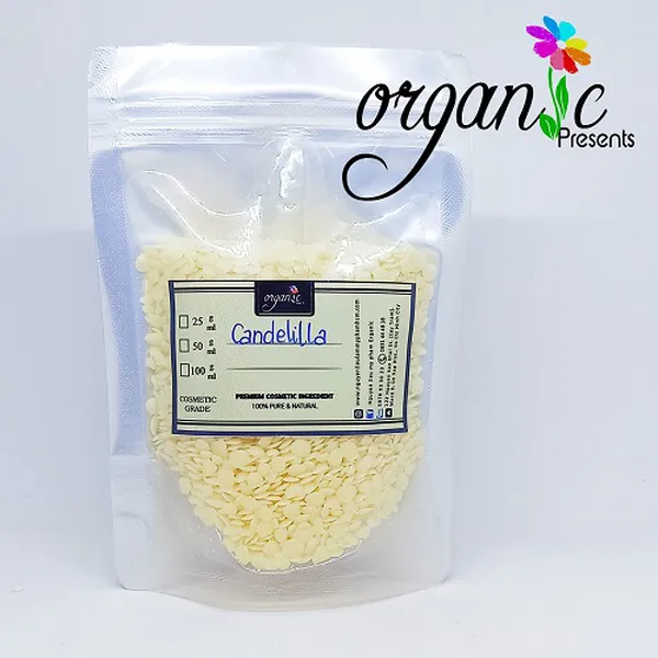 SÁP CANDELILLA (MỸ)