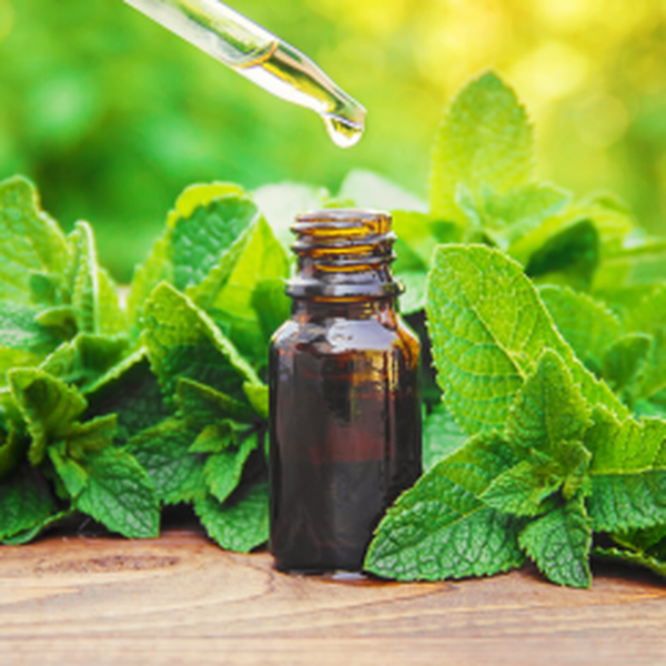TINH DẦU BẠC HÀ (PEPPERMINT)