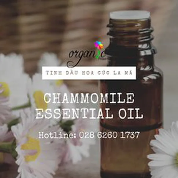 TINH DẦU HOA CÚC LA MÃ (CHAMMOMILE)