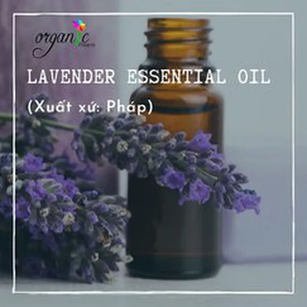 TINH DẦU OẢI HƯƠNG PHÁP (LAVENDER)