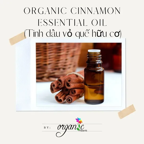 TINH DẦU QUẾ HỮU CƠ (ORGANIC CINNAMON ESSENTIAL OIL)