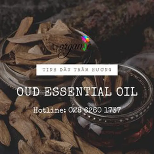 TINH DẦU TRẦM HƯƠNG (OUD)