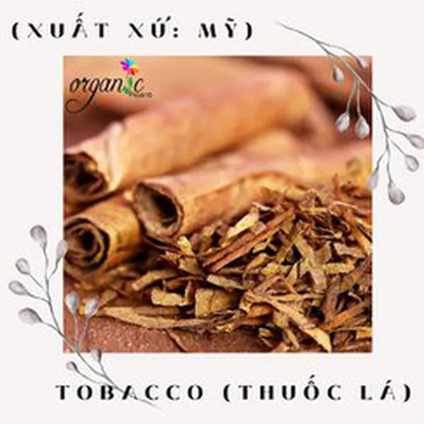 TOBACCO (HƯƠNG THUỐC LÁ- MỸ)