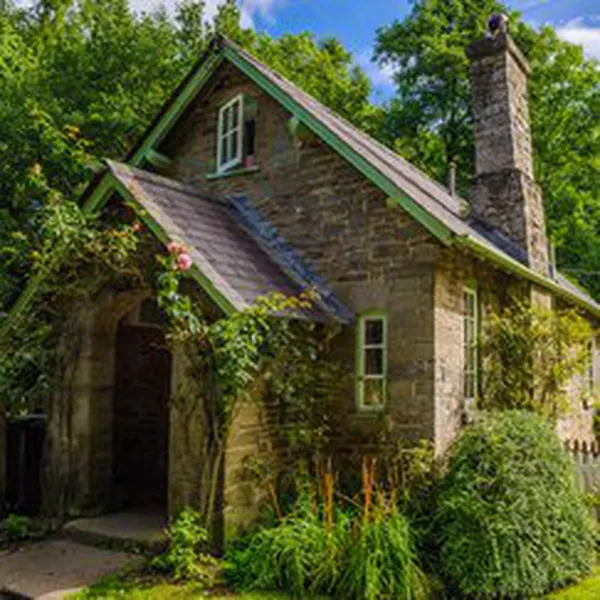 WARM RUSTIC WOODS (HƯƠNG GỖ MỘC)