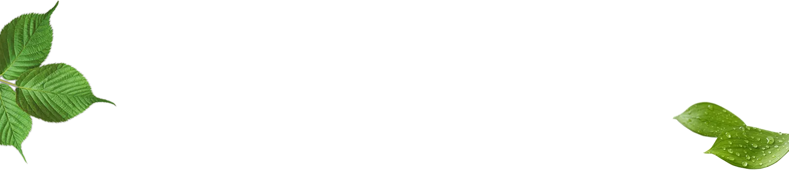 Left banner